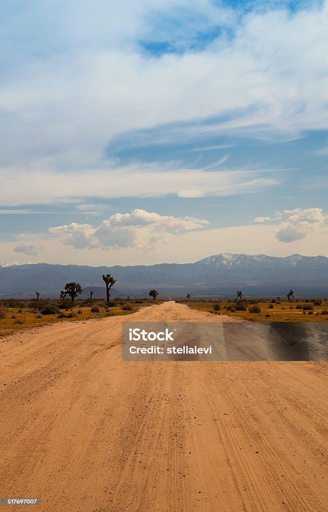 Dirt Road Dirt road in Antelope Valley,  California Yucca Brevifolia Stock Photo