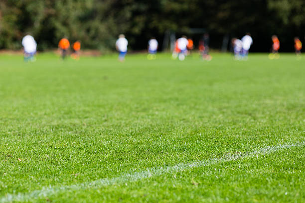 istock Closeup of soccer turf 517702512