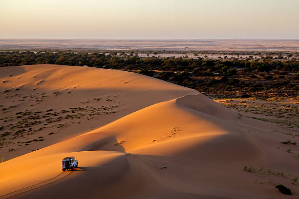 life as opening - jeep stockfoto's en -beelden