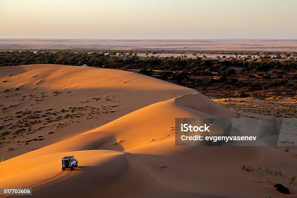 Life As Opening Stock Photo - Download Image Now - Namibia, Safari, Desert Area