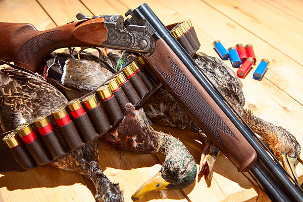 istock Gun, hunting, a dead duck, and ammunition 517702692