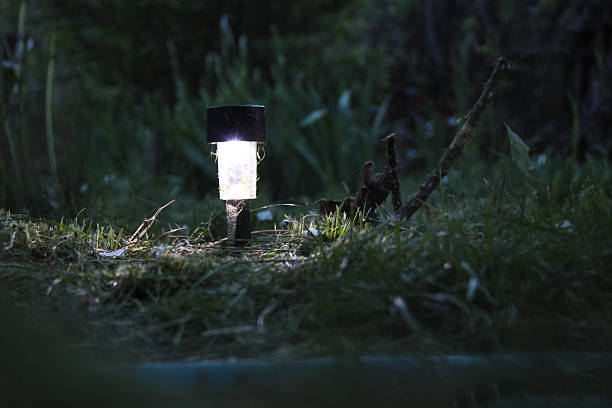 istock Lantern, nature, light, night, fairy tale 517703704