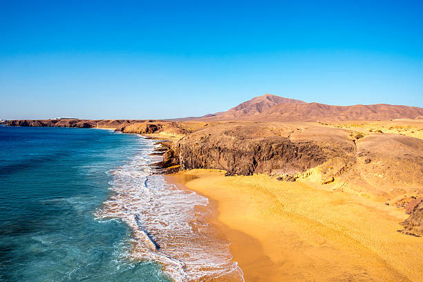 папагайо пляж на острове лансароте - lanzarote стоковые фото и изображения