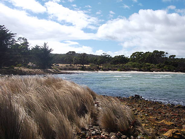 istock Bruny Island, Tasmania 517708256