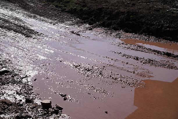 poça de lama - mud road tire track footpath imagens e fotografias de stock