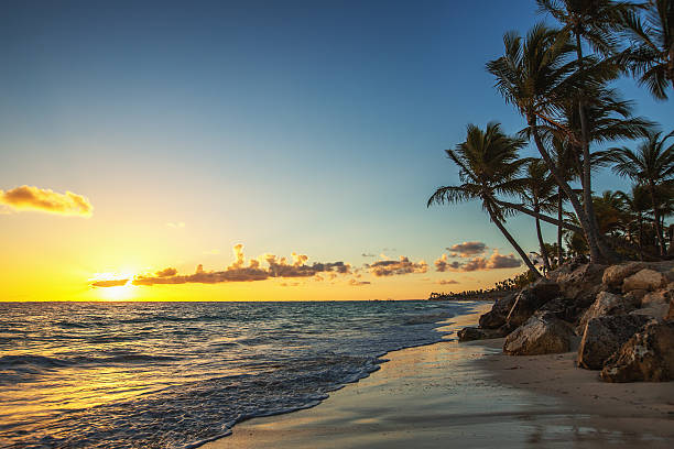 istock Caribbean wild beach, Punta Cana 517710266