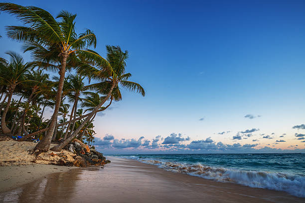 istock Caribbean wild beach, Punta Cana 517710318