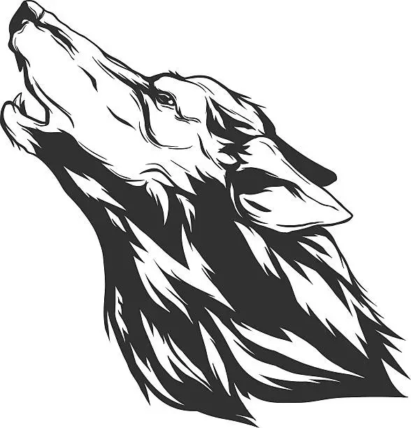 Vector illustration of Vector illustration with wolf head