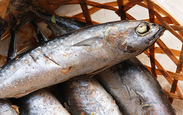 istock Fish at Market 517711093