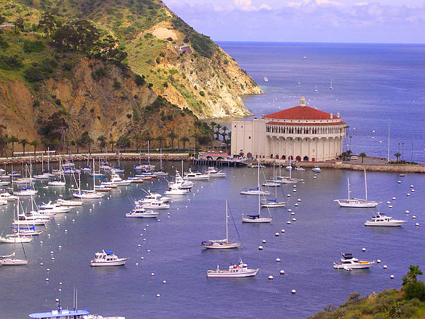 istock Santa Catalina Island 517711304