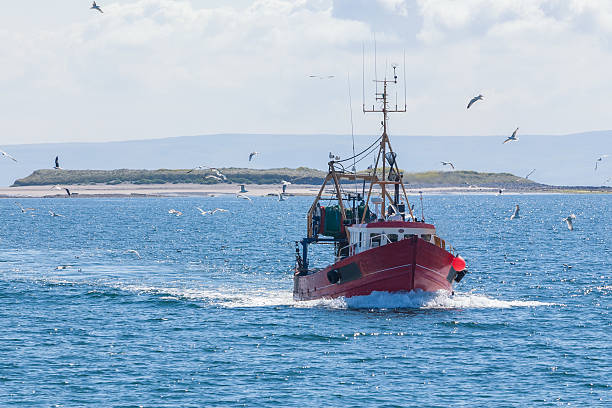 istock fishing boat returning to harbour with catch 517713722