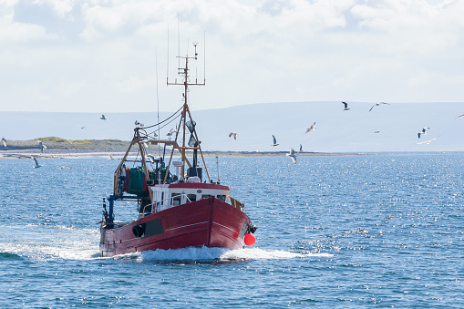 fishing boat returning to harbour with catch