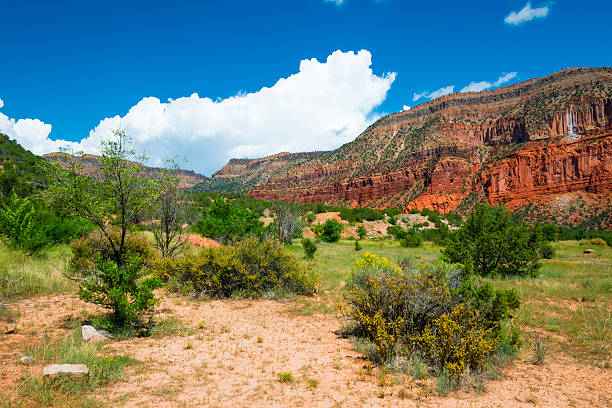 600+ Contea Di Sandoval Foto stock, immagini e fotografie royaltyfree