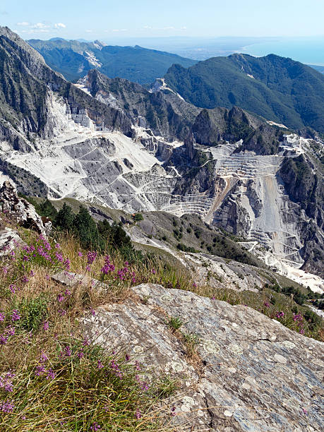 istock Carrara marble quarries, Italy. Vertical view with wild allium. 517714187