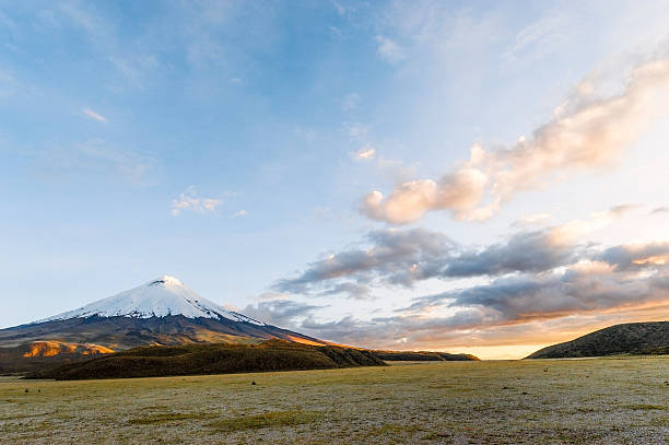 Sunset on the mighty Cotopaxi Volcano Sunset on the mighty Cotopaxi, the highest active volcano in the world. Andean Highlands of Ecuador, South America cotopaxi photos stock pictures, royalty-free photos & images