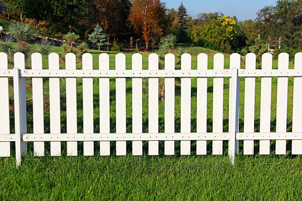 istock White fence on green grass. 517717165