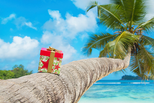 Gift box with bow on coconut palm tree at exotic tropical beach - holiday presents or discounts for travel tours concept