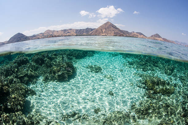 istock Sand, Coral, and Island 517724789