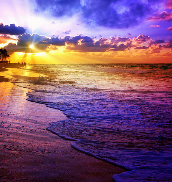 istock Wonderful sunrise in the Caribbean. 517728415