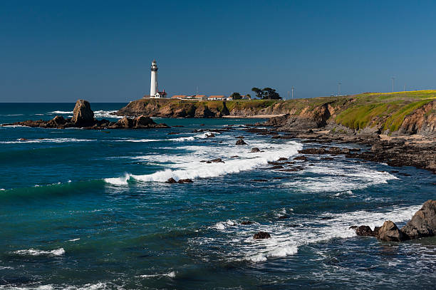 istock Pigeon Point Lighthouse, California 517738186