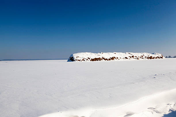 istock winter season, the snow 517738610