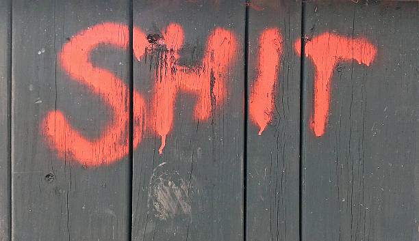 istock word shit painted on wood wall 517738768