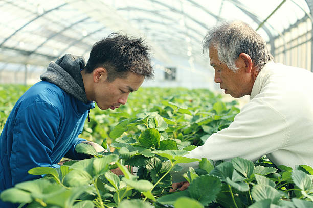 istock An old man tell a youth 517741726