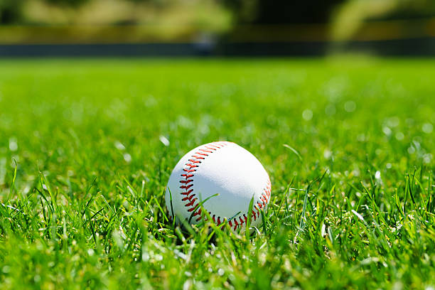 istock Baseball at a baseball field in California mountains 517742518