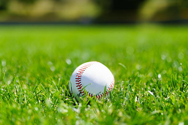 istock Baseball at a baseball field in California mountains 517742764