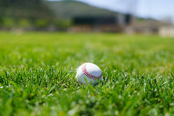 istock Baseball at a baseball field in California mountains 517742948