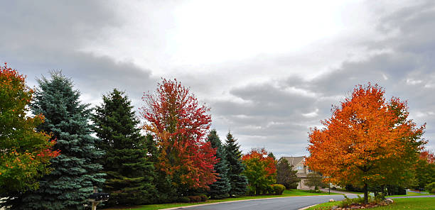 istock Autumn in the neighborhood 517745169