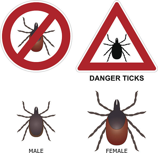 Tick warning sign vector art illustration