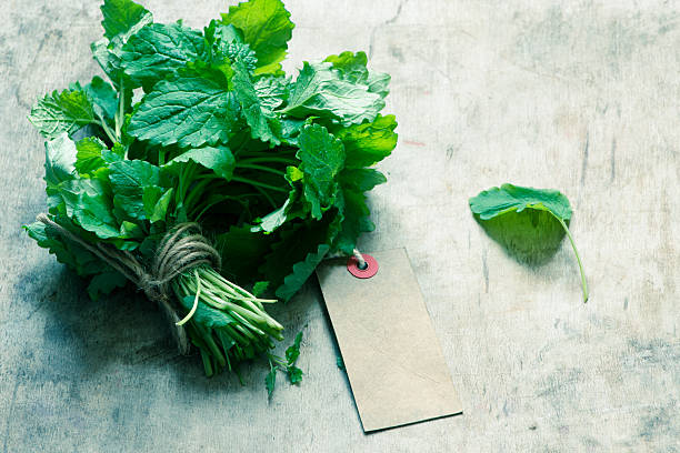 istock bunch of a fresh, organic melissa 517746632