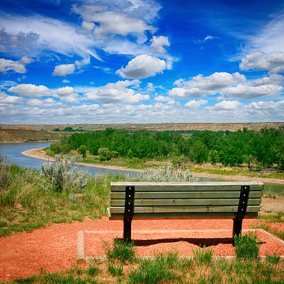 In a public park, a bench awaits tired walkers. It is a sunny summer day.