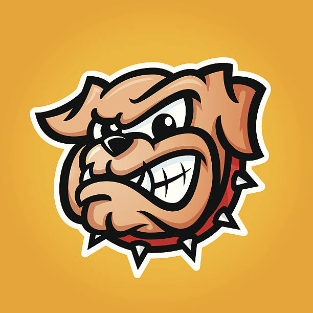 Detailed illustration of bulldog head Detailed illustration of bulldog head with angry face emotion, good for team sport school college logos, vector bulldog stock illustrations