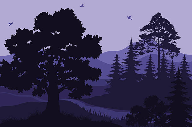 풍경, 나무, 산 및 새를 - glade branch vector landscape stock illustrations