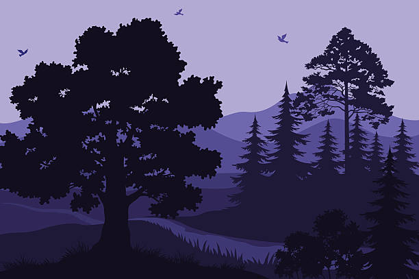 пейзаж с деревьями горы и птиц - glade forest oak tree tree stock illustrations