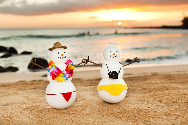 istock Couple Winter Beach Vacation in Tropical Paradise 517747165