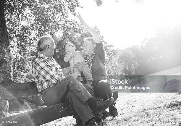 Grandparents And Grandson In Park Stock Photo - Download Image Now - Family, Happiness, Photography