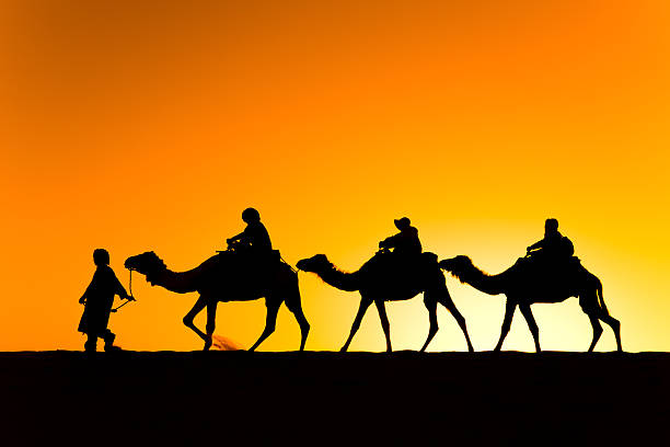 istock Trip to the Sahara 517747285