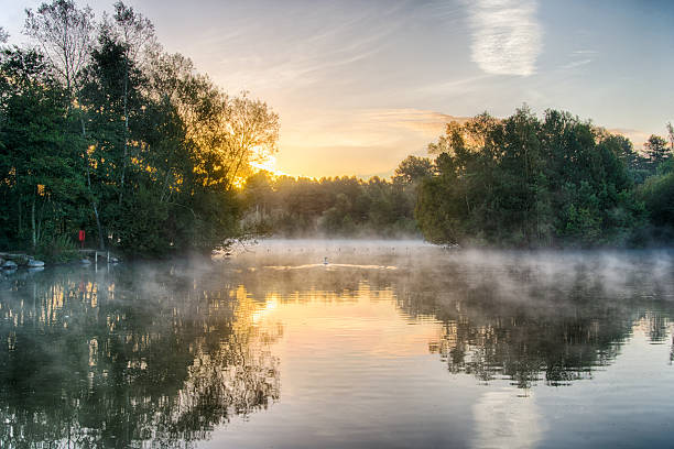 istock Misty Morning Marine Lake 517748665