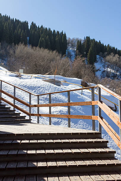 istock wooden staircase among trees 517750058