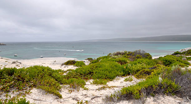 istock Moody Skies over Hamelin Bay 517750796