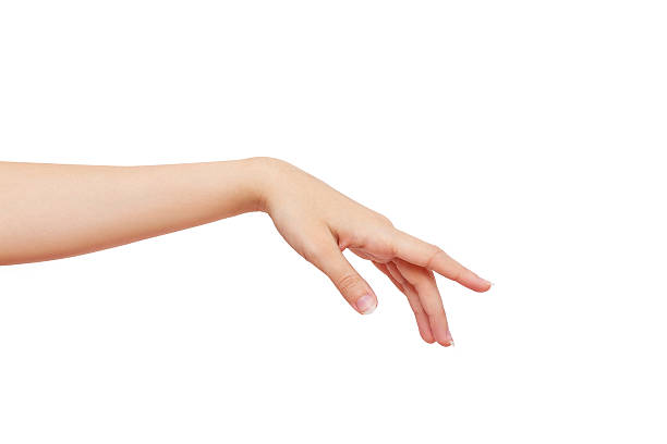 istock Beautiful female hand isolated on a white background 517750967