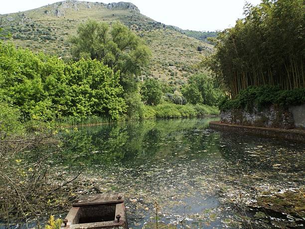 Oasis of Nymph - Pond Ninfa, Latina, Lazio, Italy - February 17, 2015: Ninfa Oasis pond formed by closing the sluice gate downstream sermoneta stock pictures, royalty-free photos & images