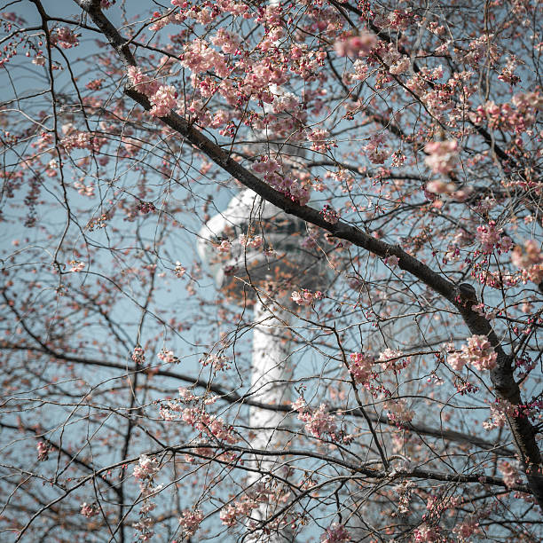Spring Tower stock photo