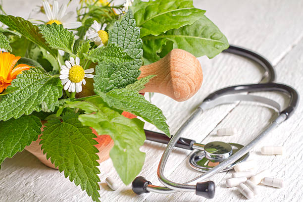 신선한 허브, 청진기 대체 의학 - alternative medicine mortar and pestle herbal medicine herb 뉴스 사진 이미지