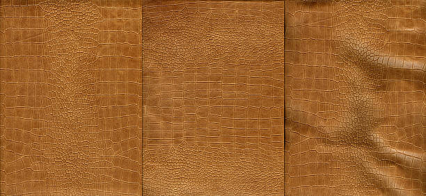 istock Set of light brown crocodile leather texture 517777919