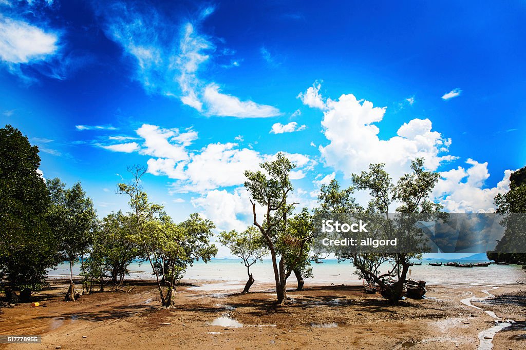 Cloudy sky over the green trees Trees growing in the sand on the beautiful sea background Backgrounds Stock Photo