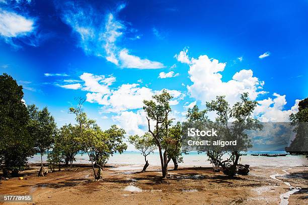 Cloudy Sky Over The Green Trees Stock Photo - Download Image Now - Backgrounds, Bare Tree, Bay of Water